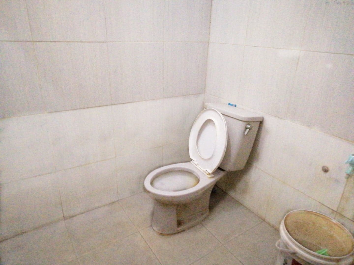 toilet2